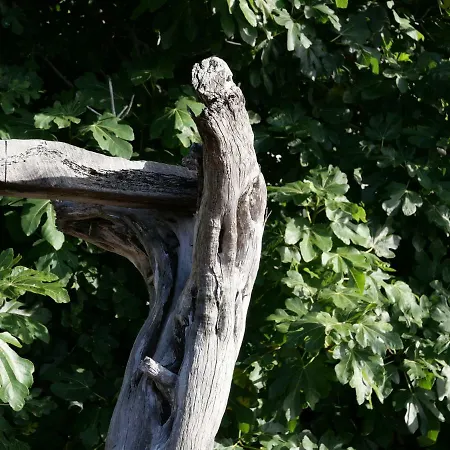 Llanillos 펜션 프론테라